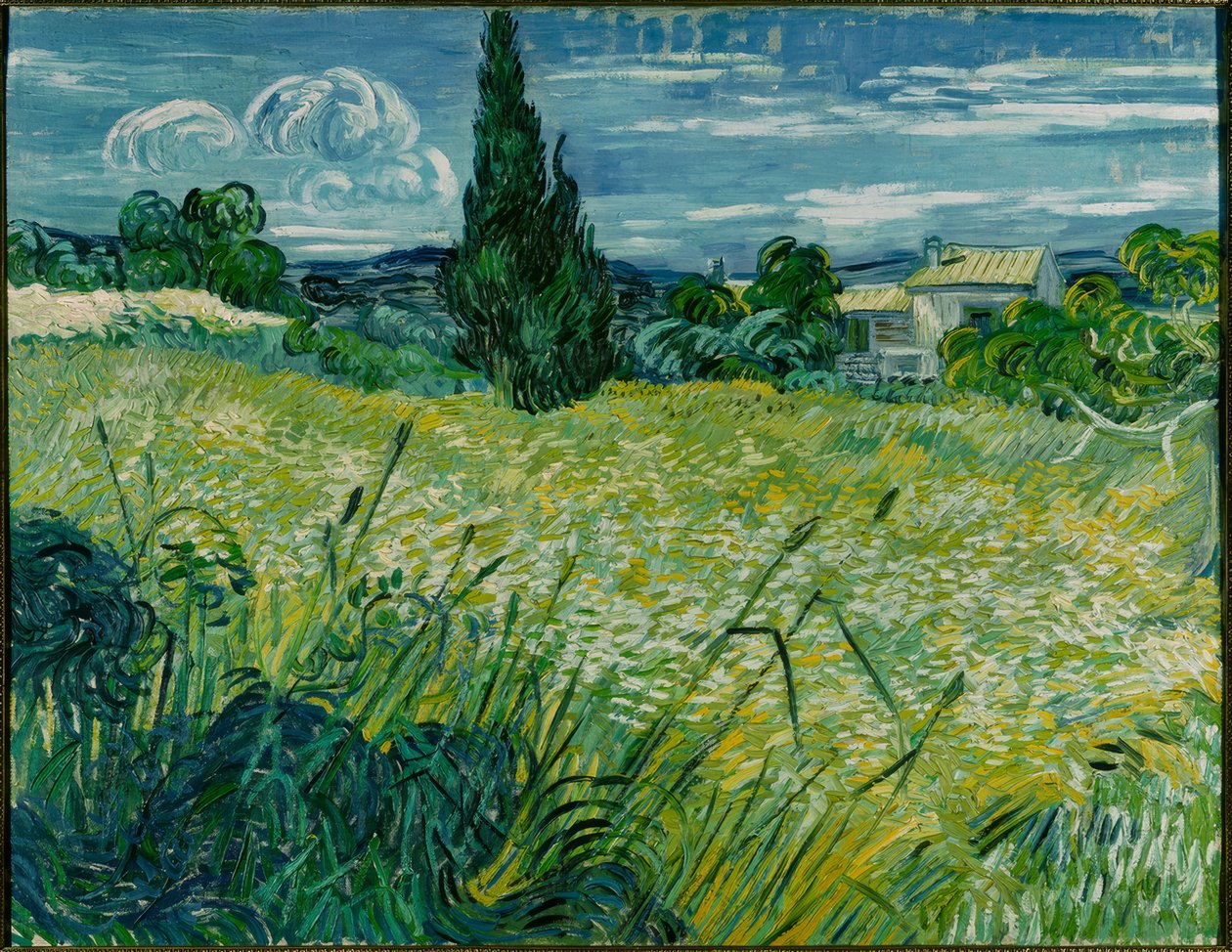 Champ de blé vert avec cyprès - Vincent van Gogh