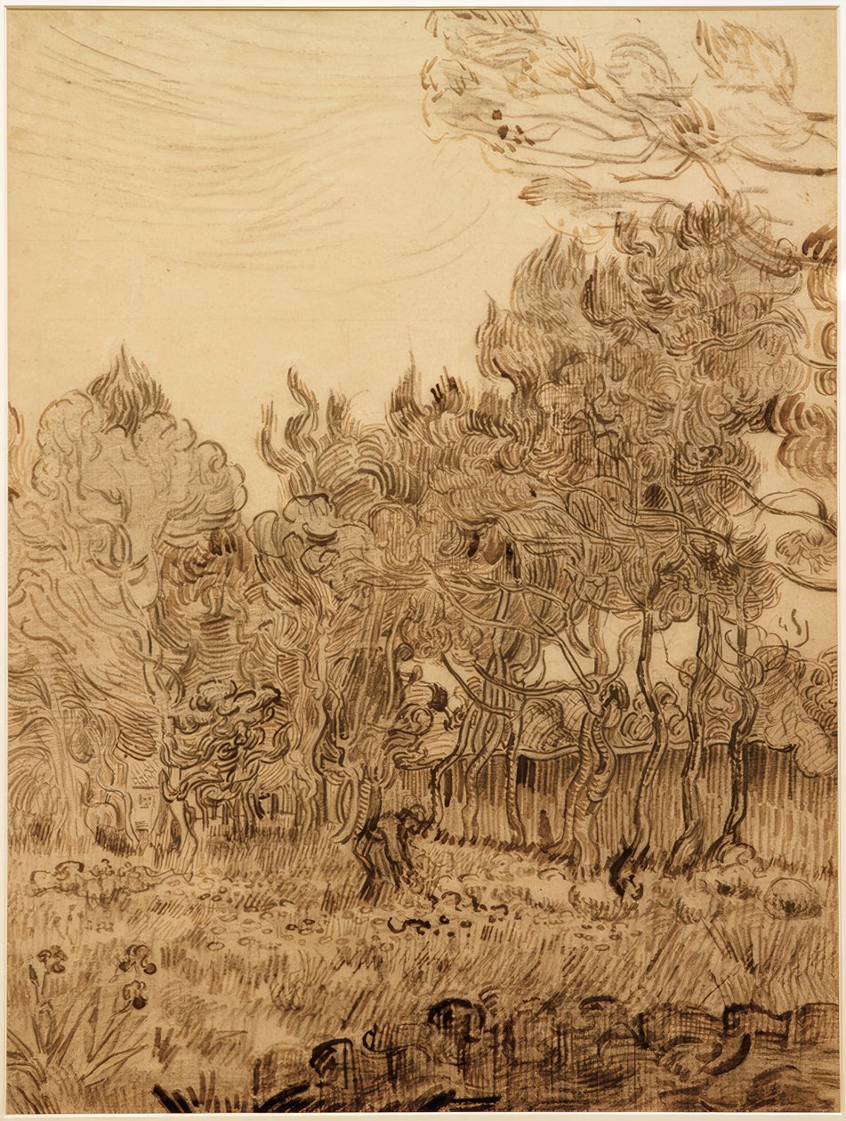 Dans le parc de l