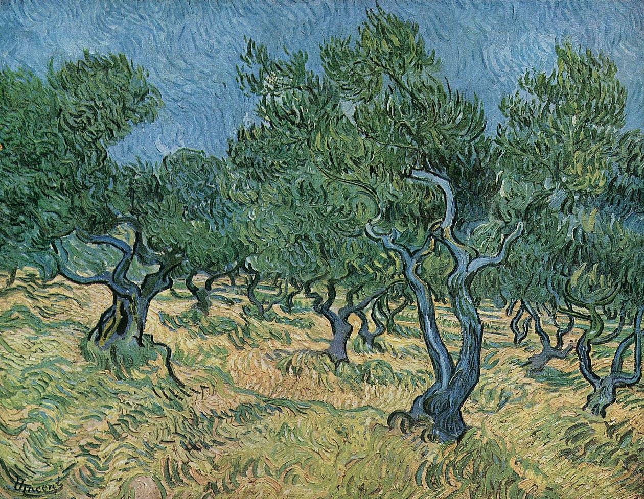 Oliveraie - Vincent van Gogh