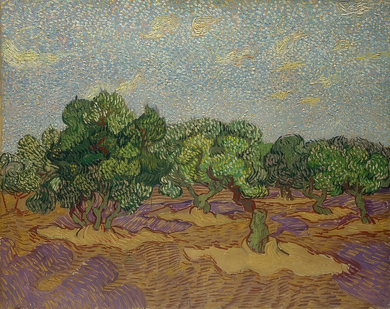Oliviers, 1889 - Vincent van Gogh