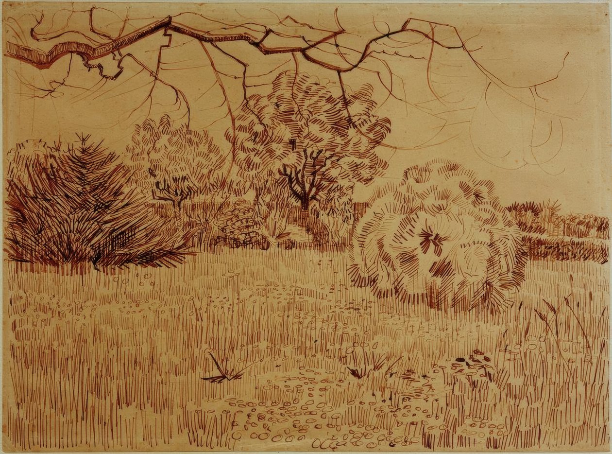Parc avec buisson - Vincent van Gogh