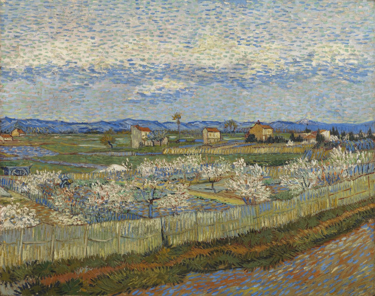 Pêchers en Fleurs, 1889 - Vincent van Gogh