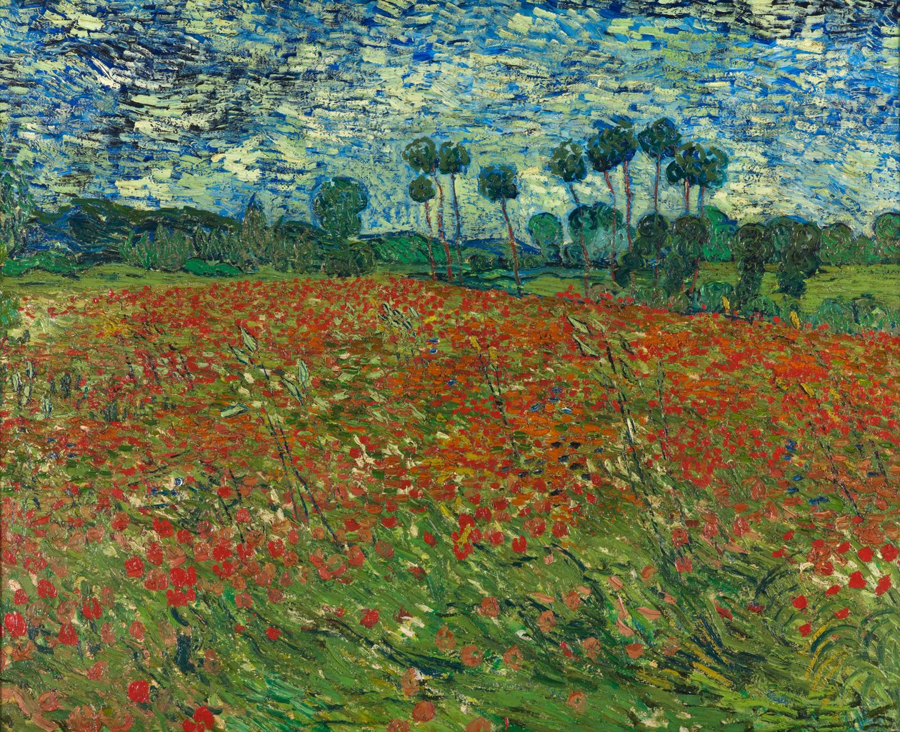 Champ de coquelicots - Vincent van Gogh