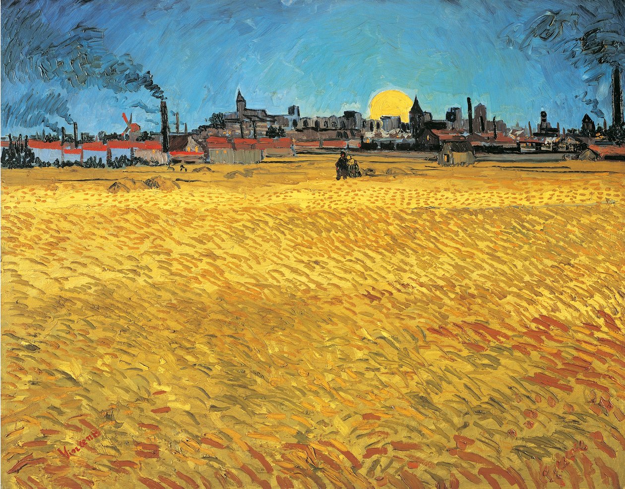 Coucher de soleil : Champs de blé près d