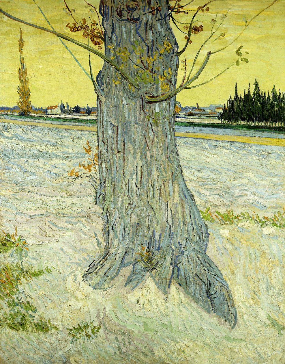 Le Vieil If - Vincent van Gogh