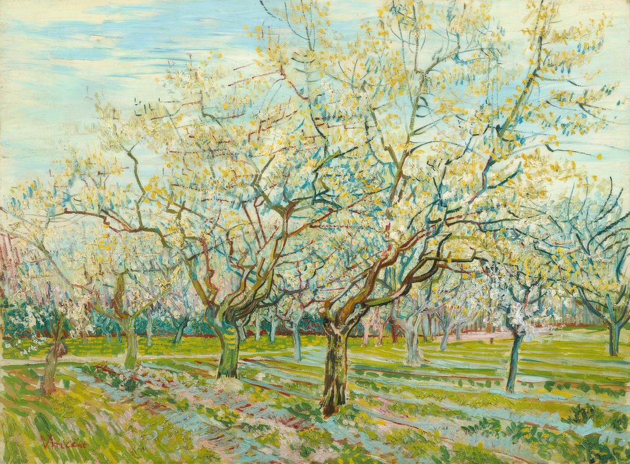 Le verger blanc - Vincent van Gogh