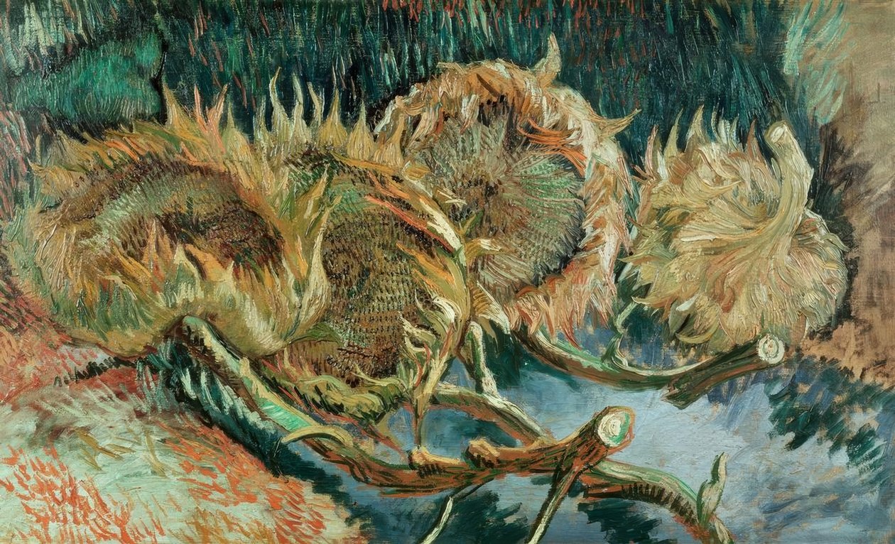 Quatre tournesols fanés - Vincent van Gogh