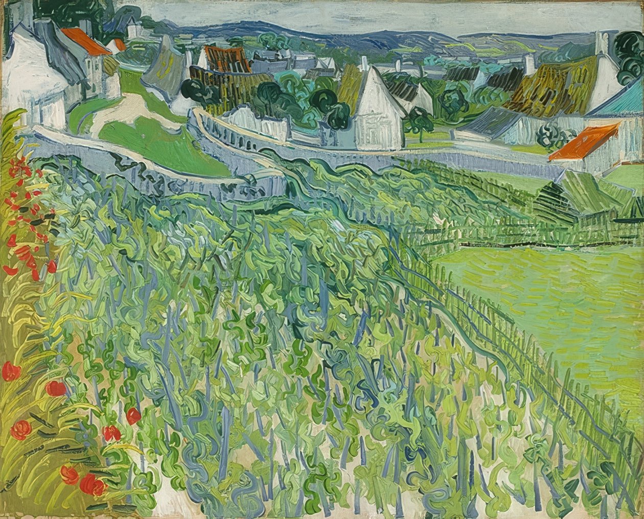 Vignobles à Auvers - Vincent van Gogh