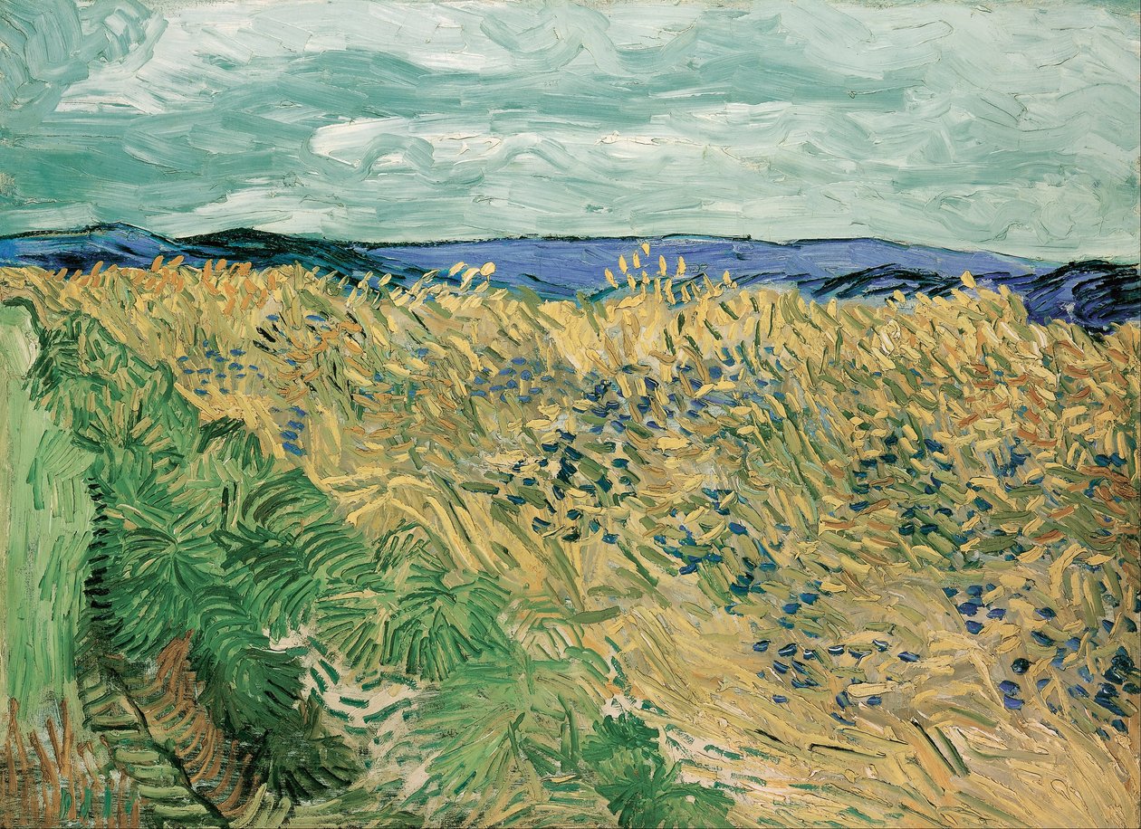 Champ de blé avec bleuets - Vincent van Gogh