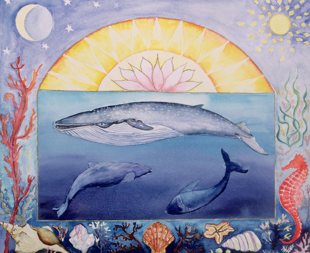 Baleines (mois de septembre d