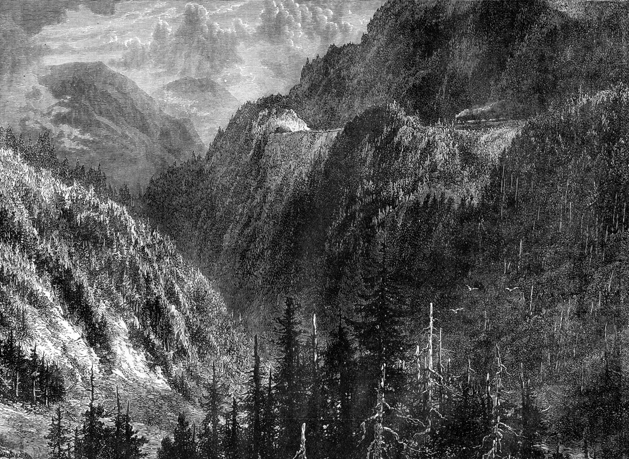 La Forêt-Noire, Allemagne, 19e siècle - WHJ Pool