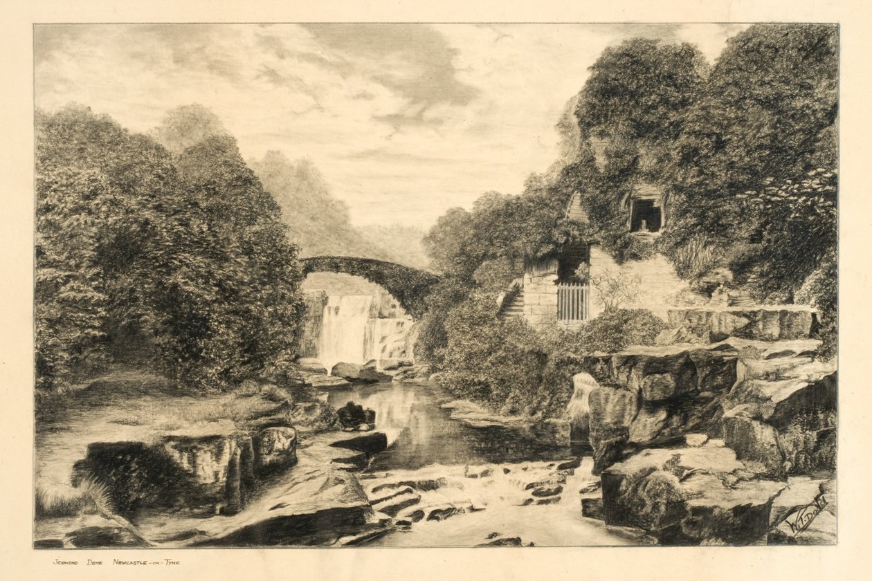 Jesmond Dene - W.T. Dodd