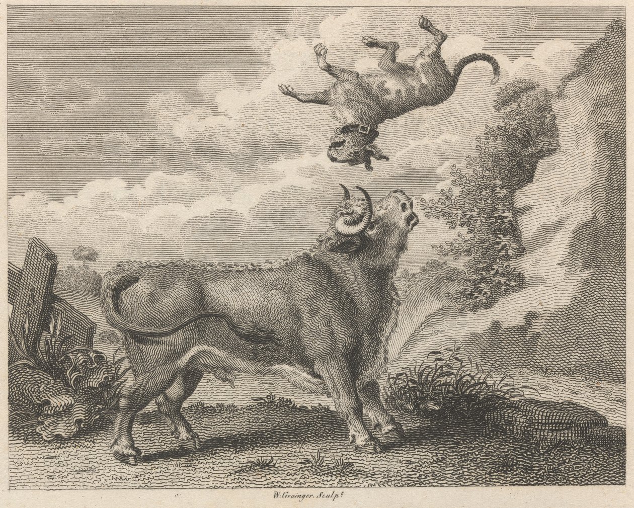 Le taureau et le mâtin - W. Grainger