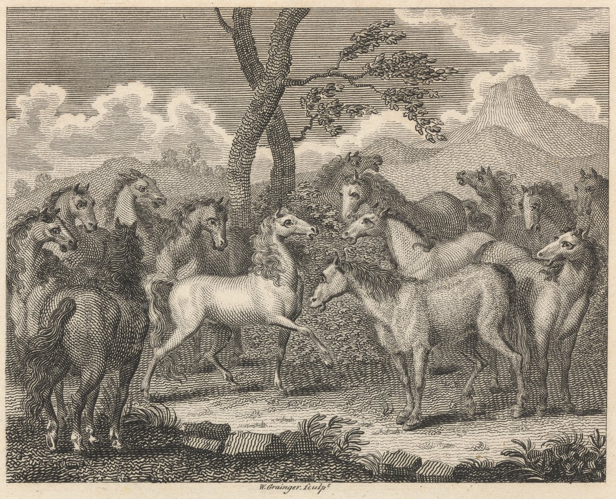 Le Conseil des chevaux - W. Grainger