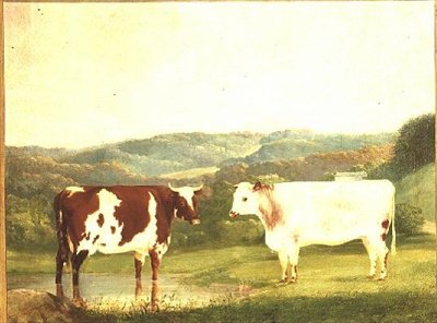 Bétail contre un paysage - W. J. Chapman