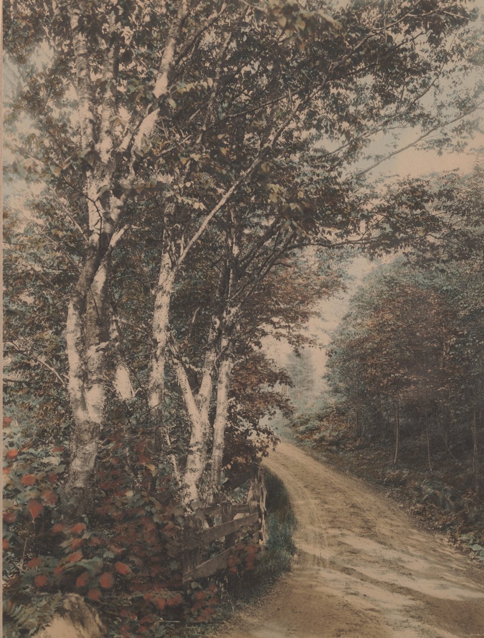 Westmore Drive - Wallace Nutting