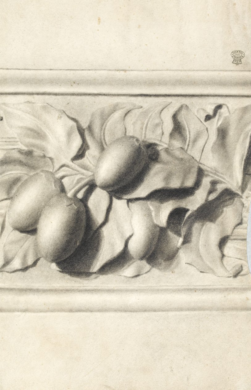 Dessin de fruits d