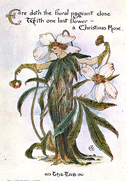 Illustration montrant une fée comme une rose de Noël - Walter Crane