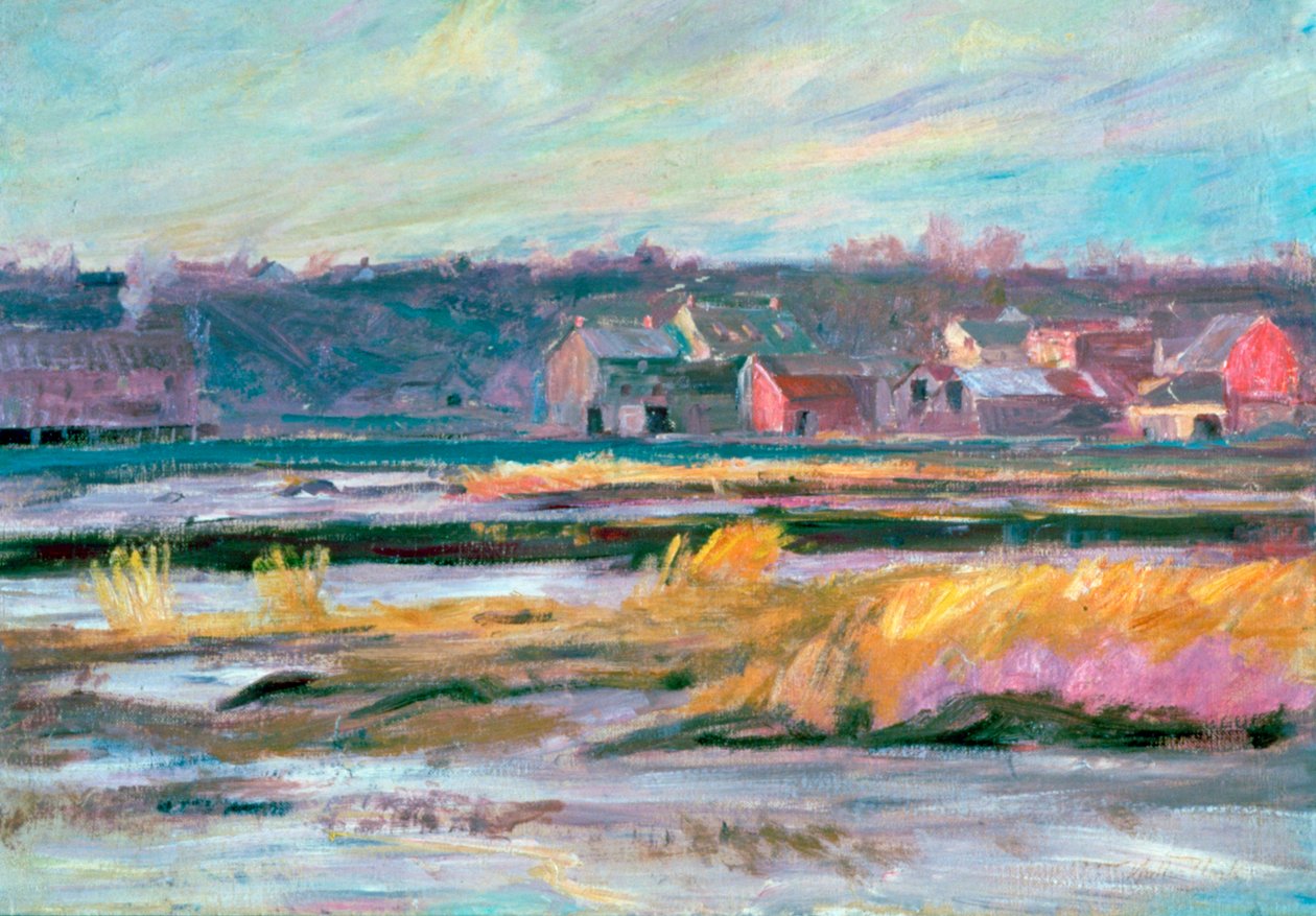 Marais du Connecticut - Walter Clark