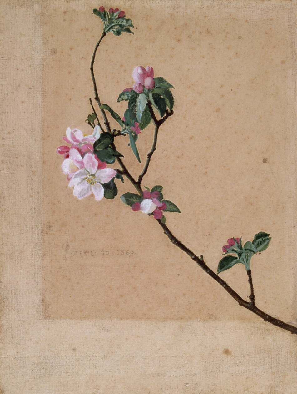 Fleurs de pommier - Walter Crane