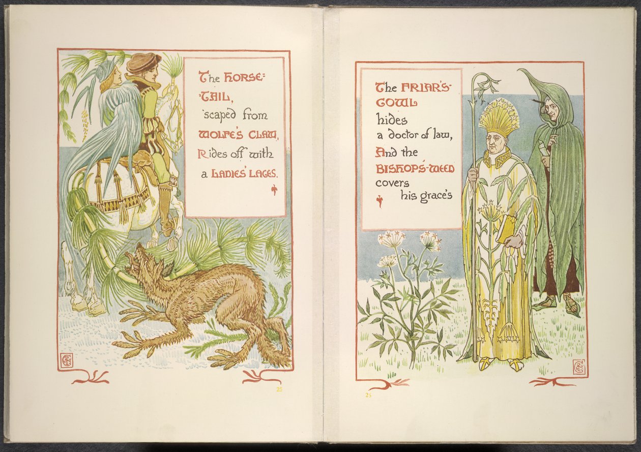 Queue de cheval et capuchon de moine - Walter Crane