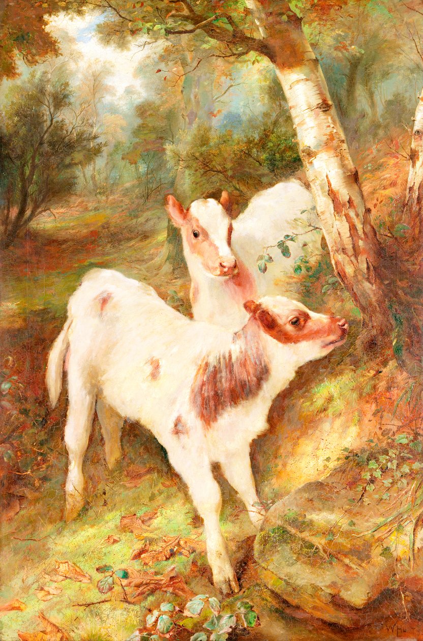 Les enfants dans la forêt - Walter Hunt