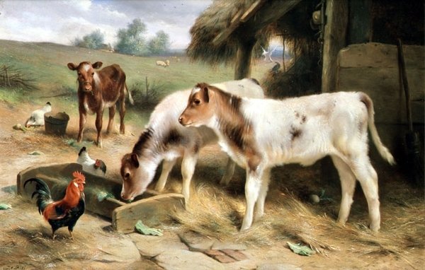 Trois veaux et volailles - Walter Hunt
