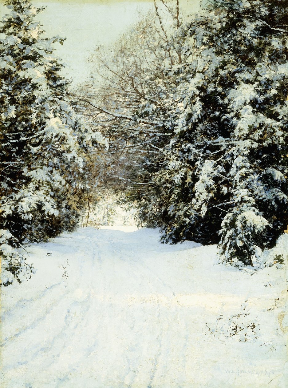 Arbres chargés de neige - Walter Launt Palmer
