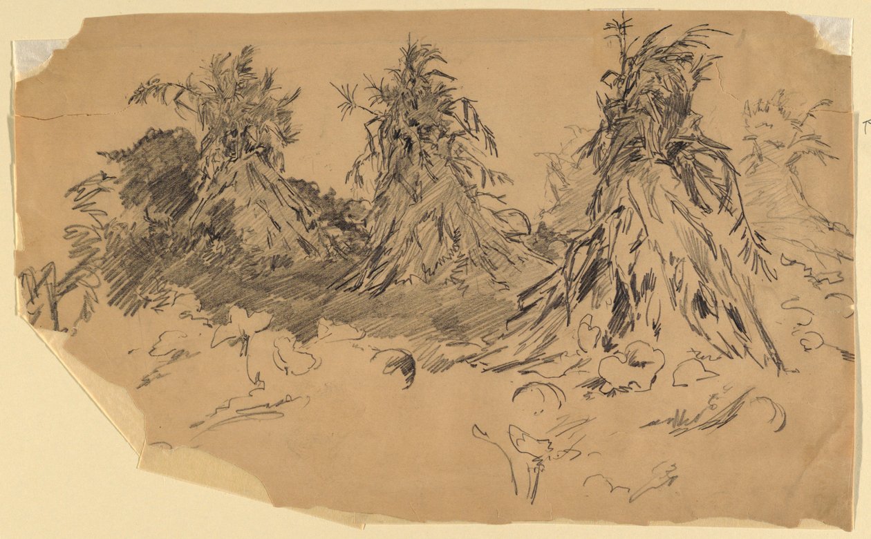 Tiges de maïs - Walter Shirlaw