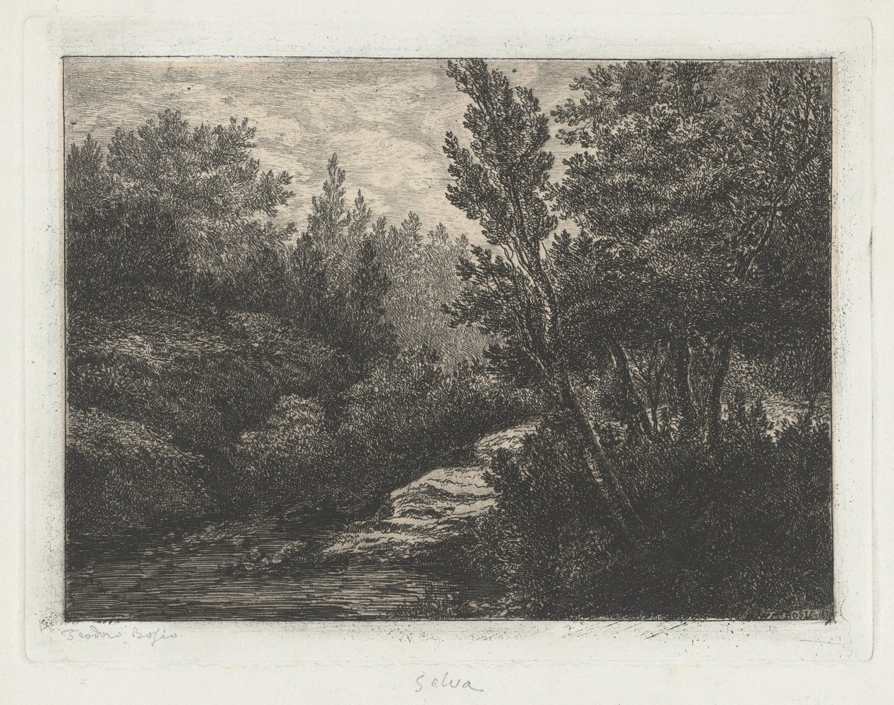 Selva (Bois) - Walter Teodoro Bosio