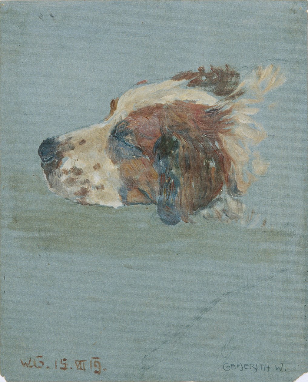 Tête de chien - Walther Gamerith