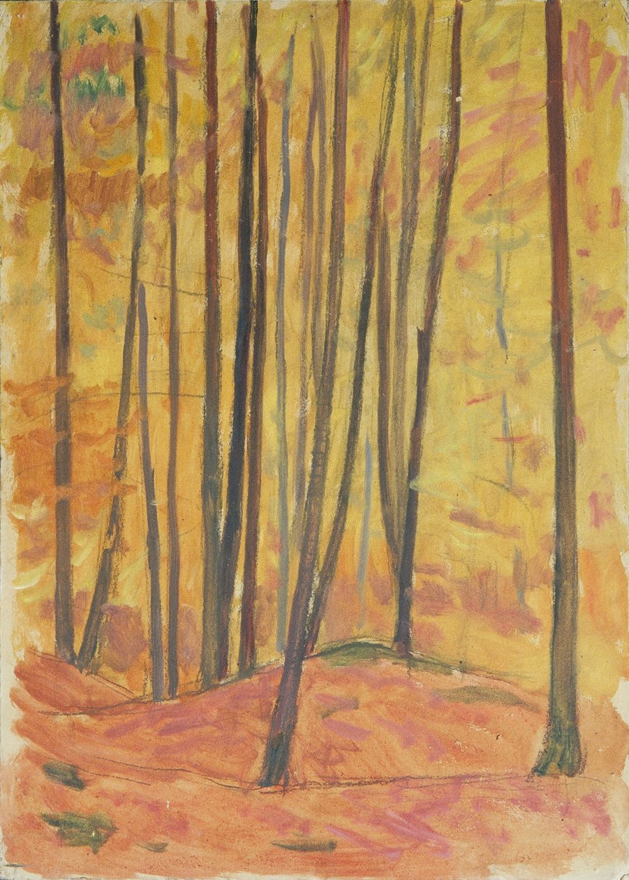 Intérieur de forêt - Walther Gamerith