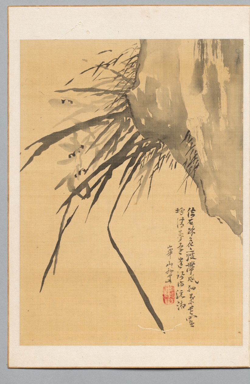 Orchidée - Watanabe Kazan