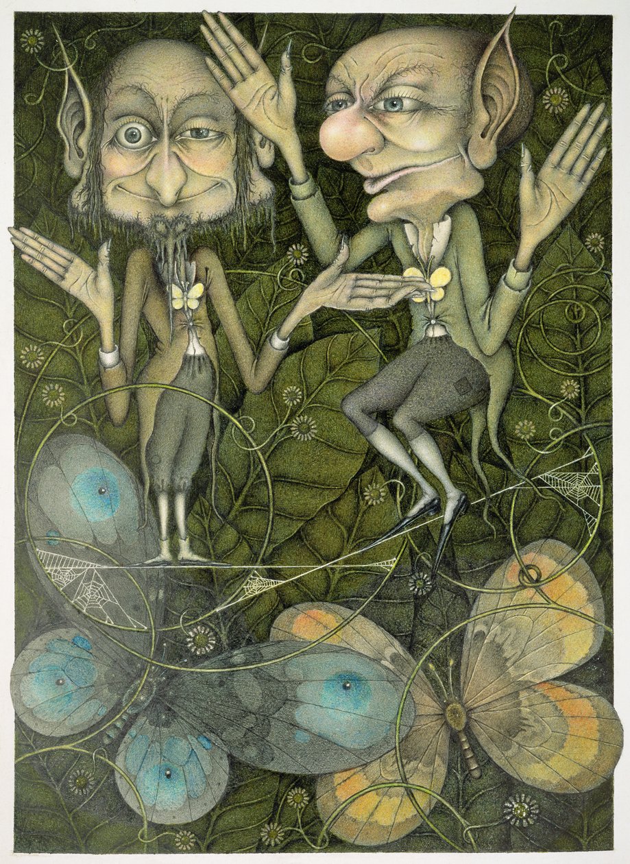 Spider Web Tightrope - Wayne Anderson