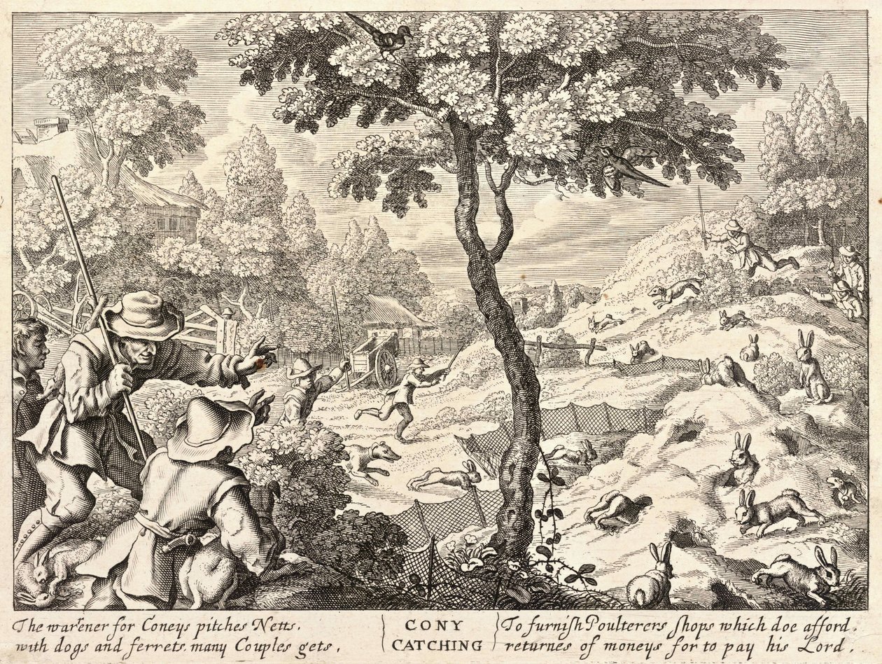 Chasse au lapin - Wenceslaus Hollar