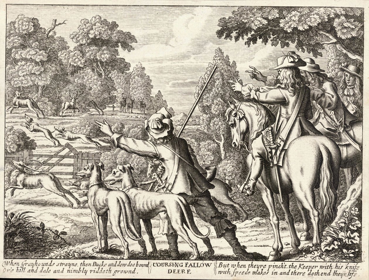 Chasse au cerf - Wenceslaus Hollar
