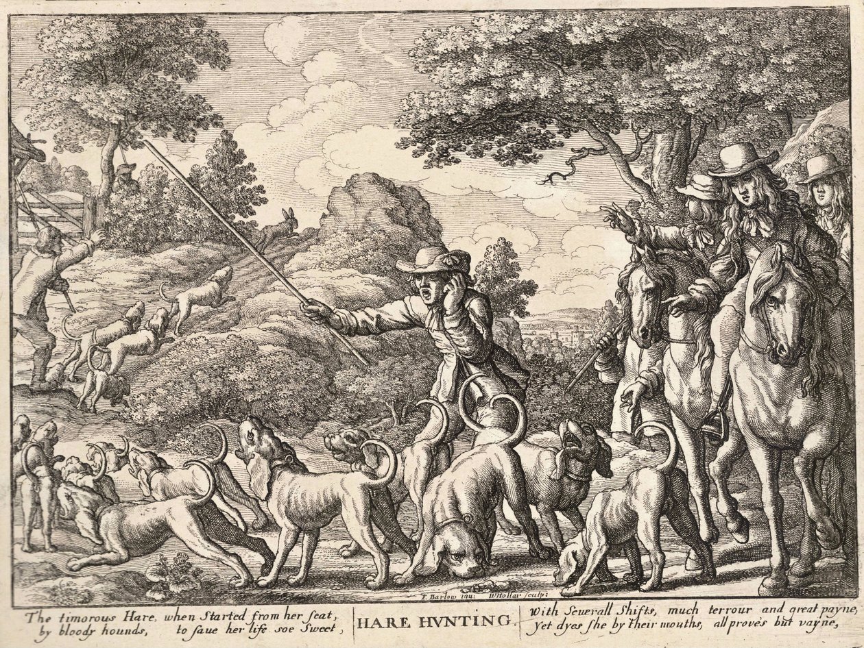 Chasse au lièvre - Wenceslaus Hollar