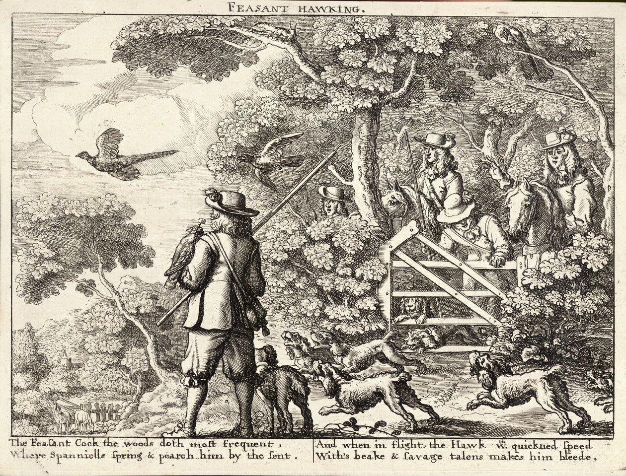 Chasse au faisan - Wenceslaus Hollar