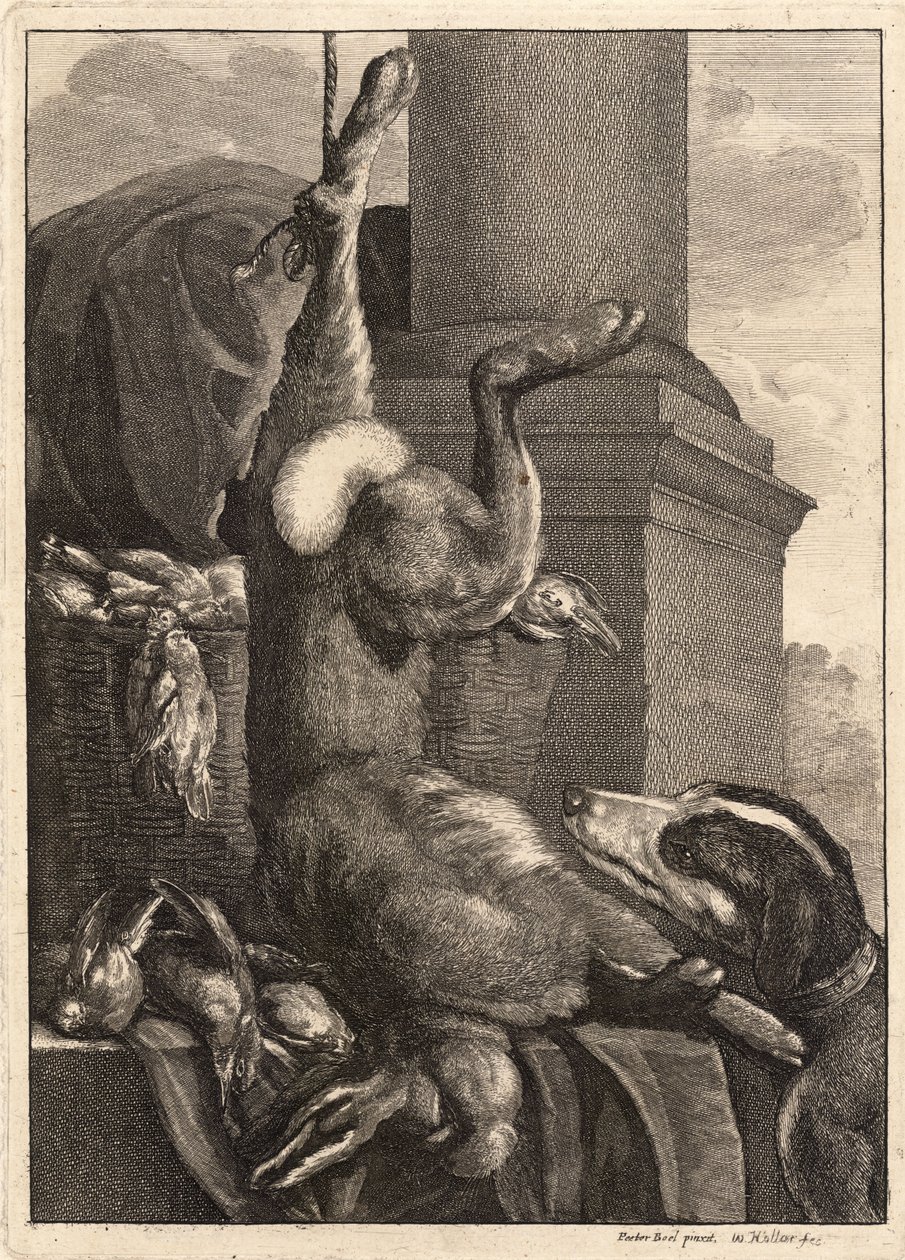 Le lièvre mort (état 3) - Wenceslaus Hollar