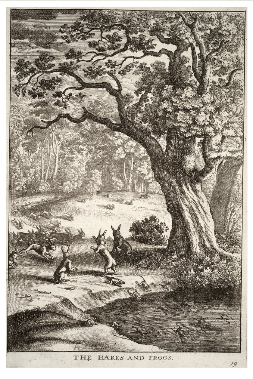 Les lièvres et les grenouilles - Wenceslaus Hollar