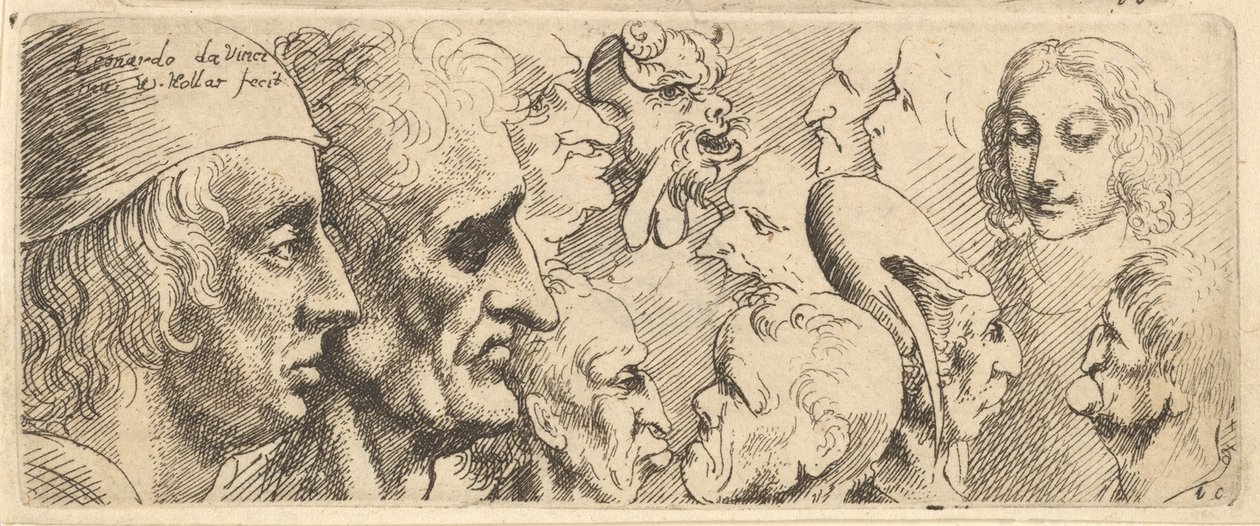 Une variété de têtes, 1625-77 - Wenceslaus Hollar