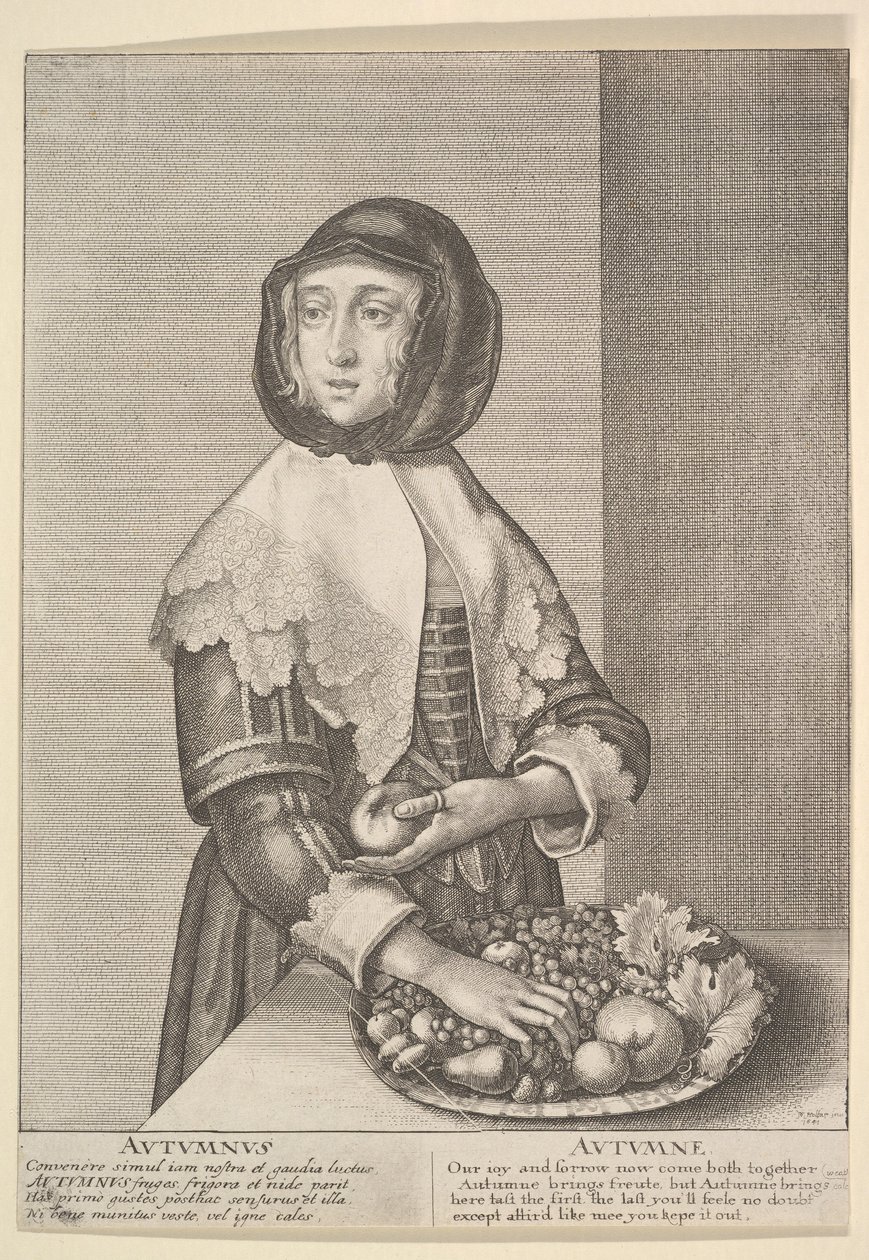 Automne - Automne Trois-quarts de longueur des saisons, 1641 - Wenceslaus Hollar