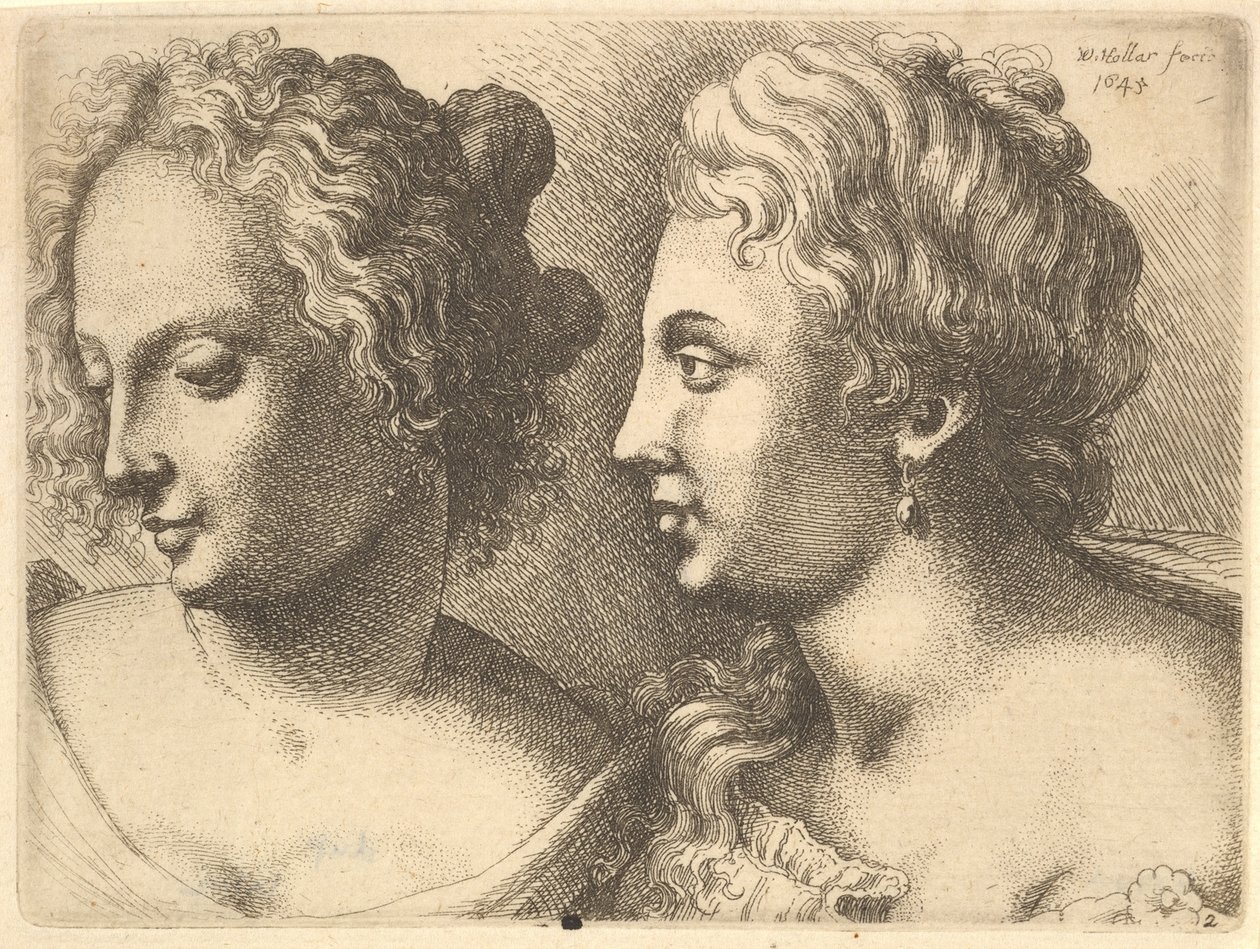 Têtes de deux jeunes femmes - Wenceslaus Hollar