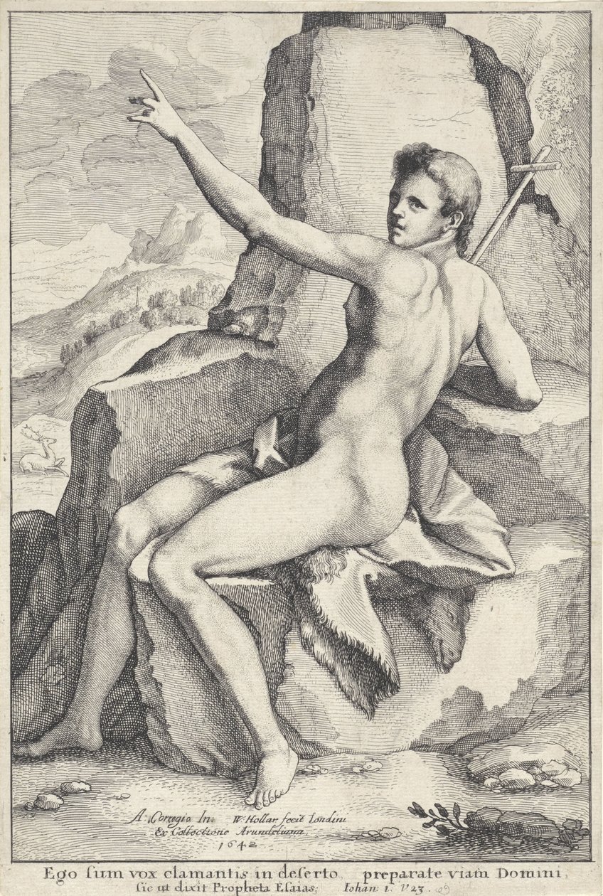 Jean-Baptiste dans le désert - Wenceslaus Hollar