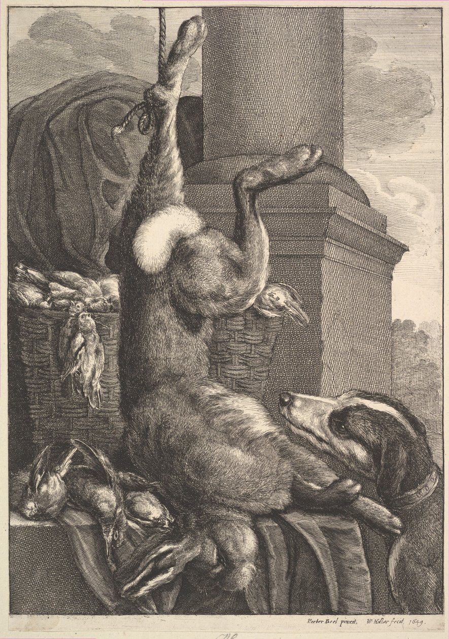 Le lièvre mort, 1649 - Wenceslaus Hollar