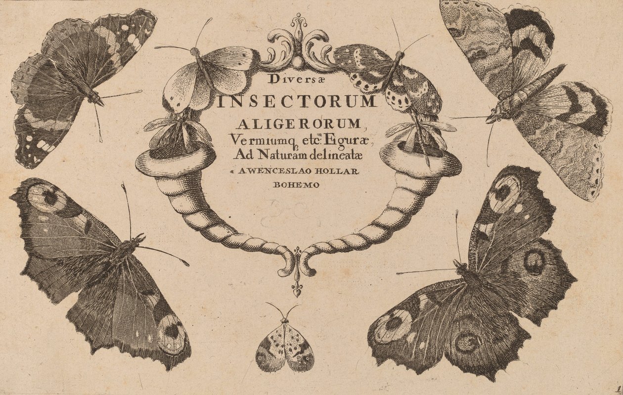 Page de titre - Wenceslaus Hollar