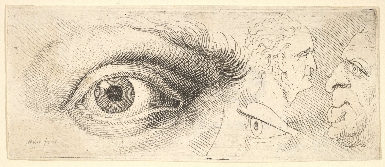 Deux yeux et deux têtes - Wenceslaus Hollar