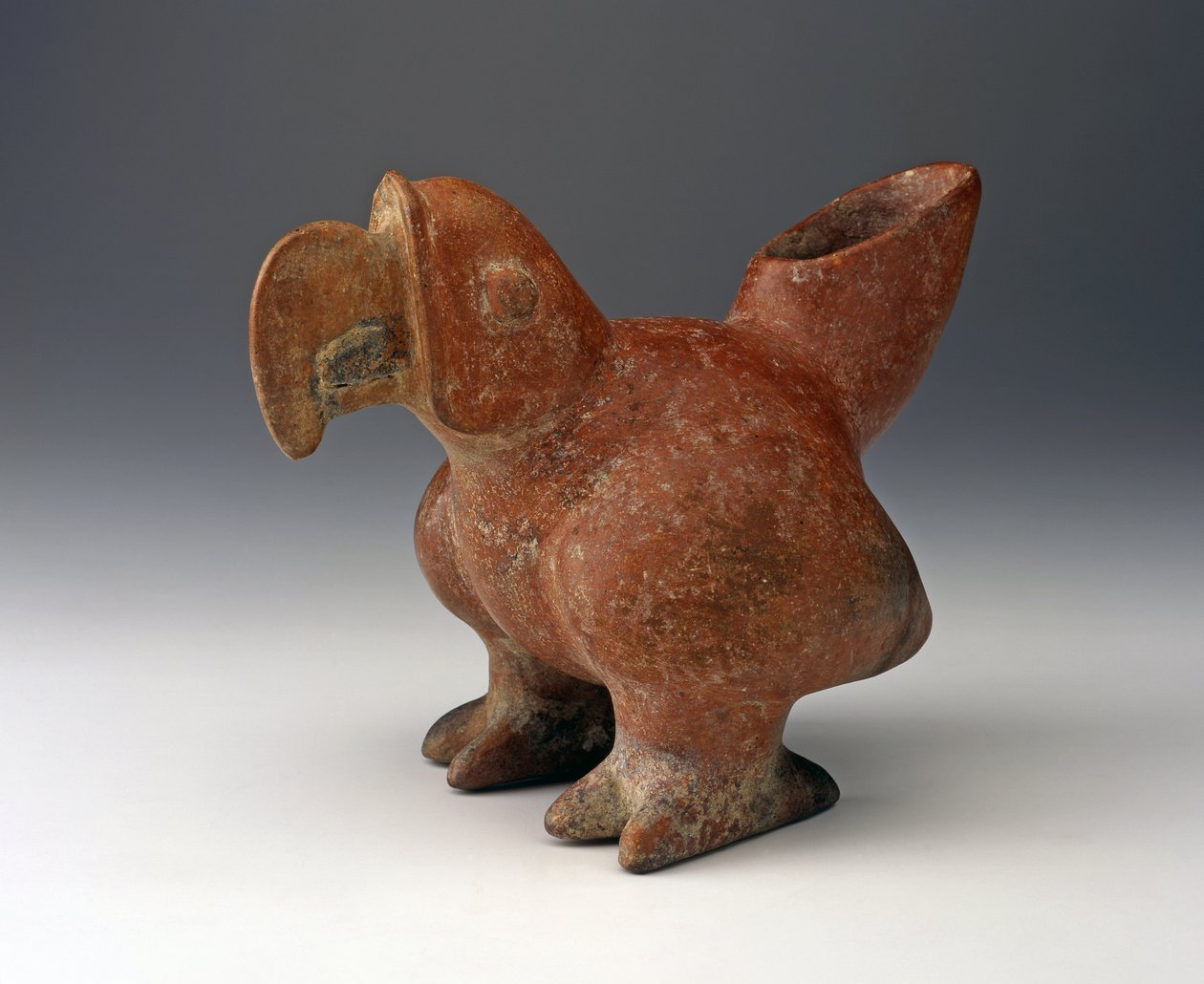 Vase effigie de perroquet, c.200 av. J.-C. - 300 apr. J.-C. - West Mexican