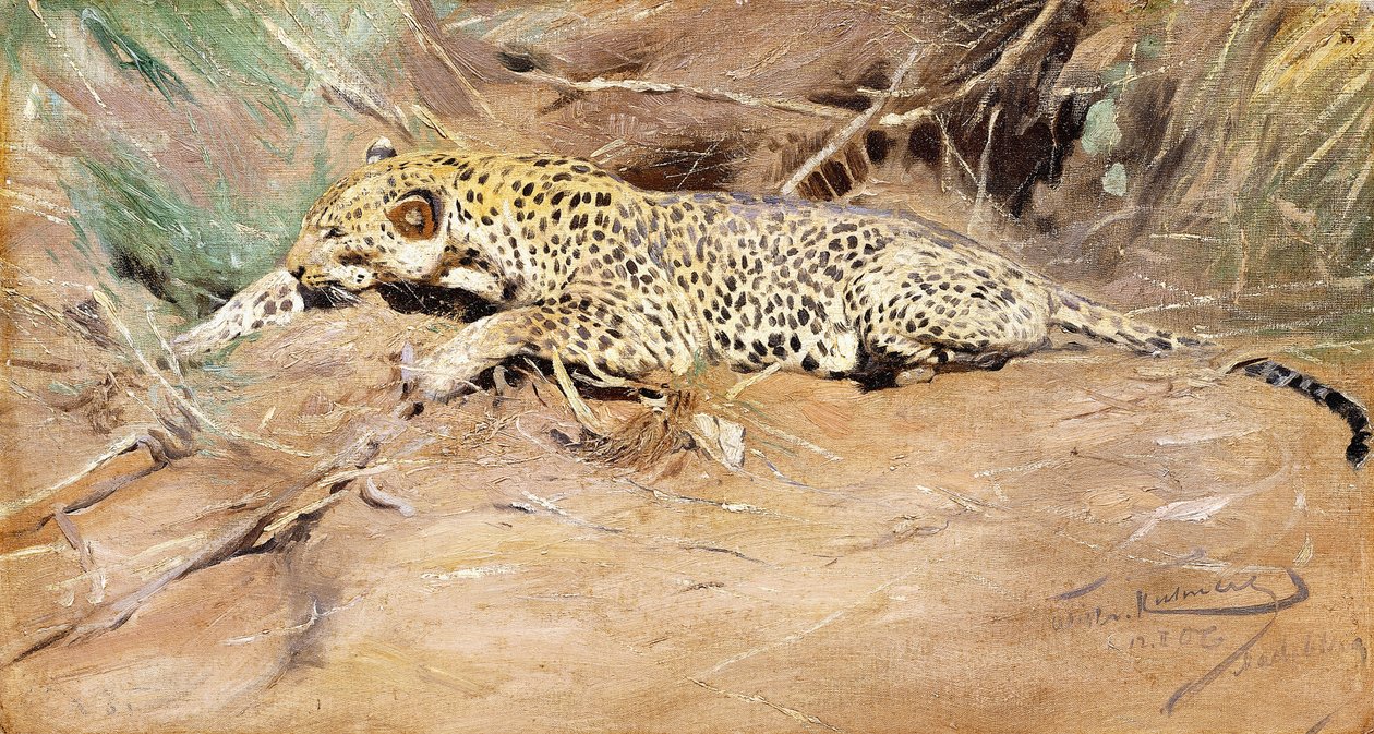 Un Léopard - Wilhelm Kuhnert