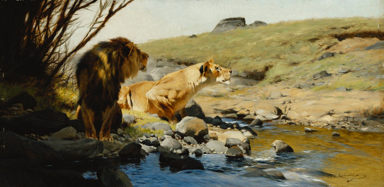 Un lion et une lionne à un ruisseau - Wilhelm Kuhnert